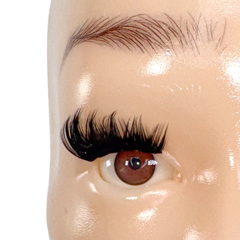 Cluster Lashes - Clear Band Press On