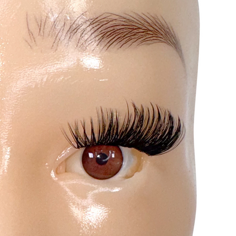 Cluster Lashes - Clear Band Press On